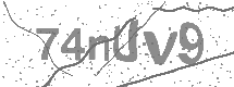 visual captcha